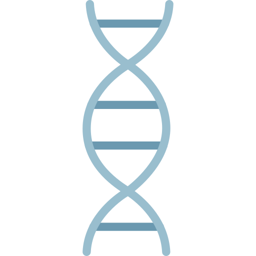 Dna structure SBTS2018 Flat icon