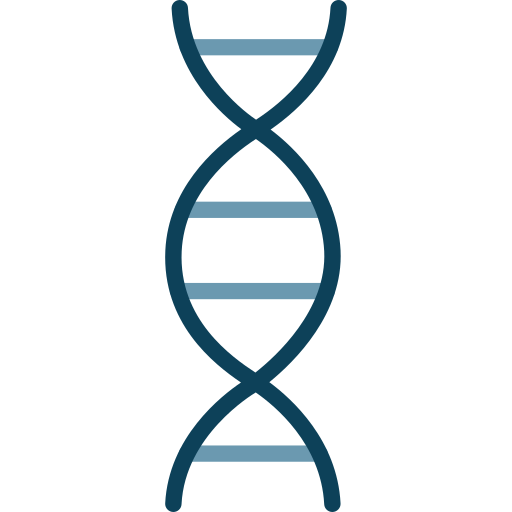 Dna structure SBTS2018 Lineal Color icon