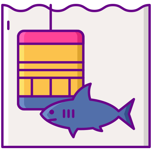 Shark Flaticons Lineal Color icon