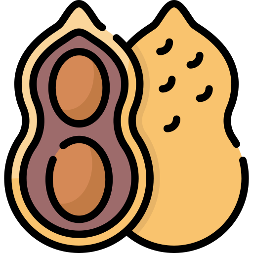 Peanut Special Lineal color icon