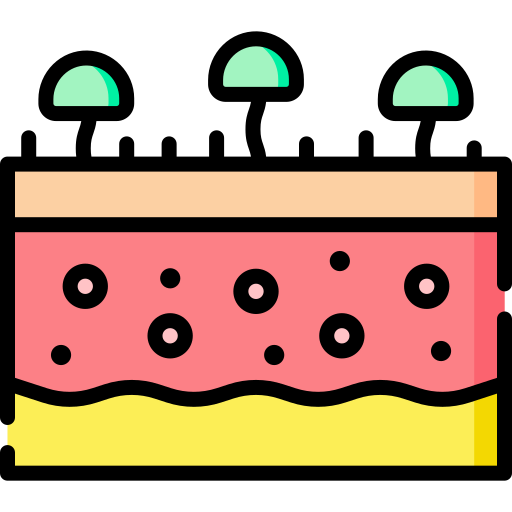 Fungus Special Lineal color icon