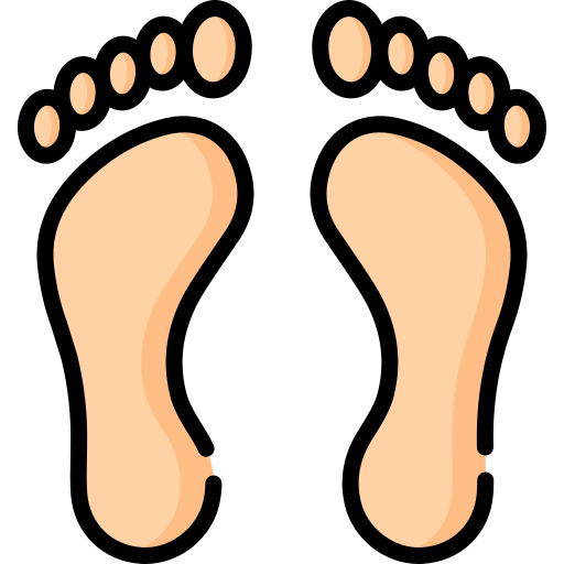 voetafdruk Special Lineal color icoon