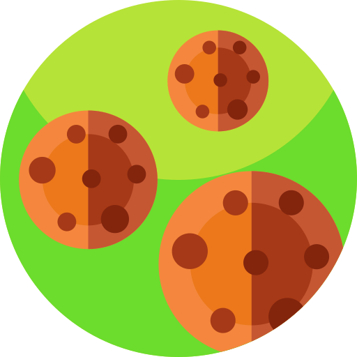 Cookies Geometric Flat Circular Flat icon