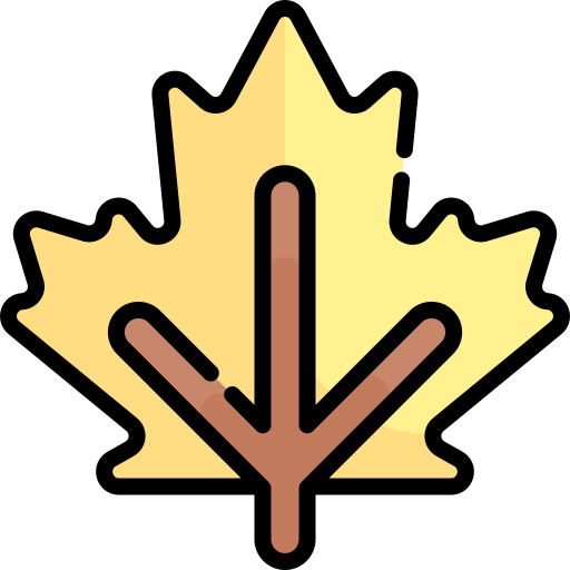 Maple leaf Kawaii Lineal color icon