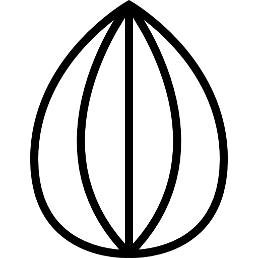 아몬드 Detailed Straight Lineal icon