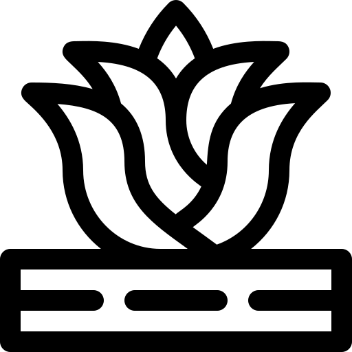 agave Basic Rounded Lineal icoon