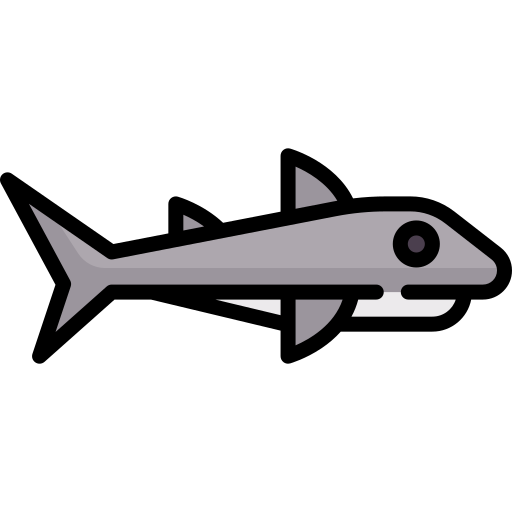 tiburón Special Lineal color icono