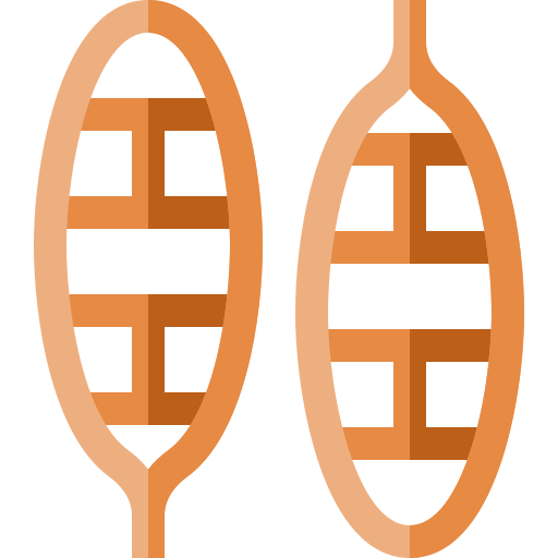 raquetas de nieve Basic Straight Flat icono