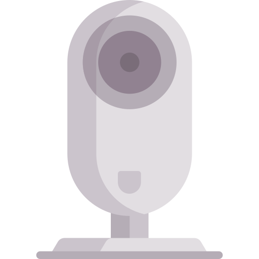 Webcam Special Flat icon