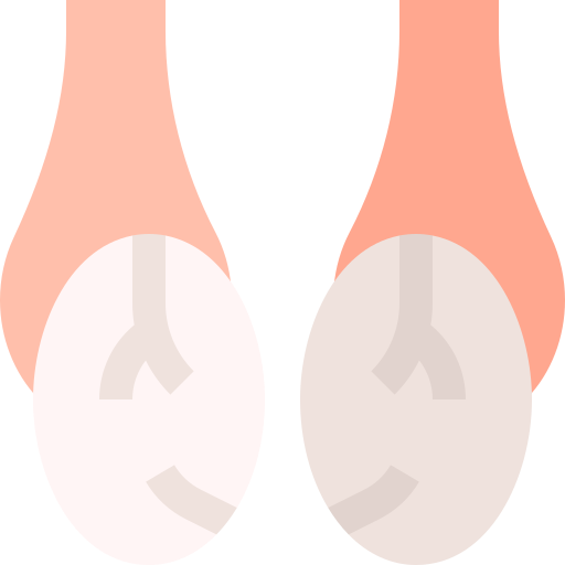 testículos Basic Straight Flat icono