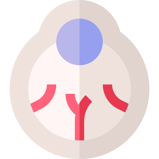 augapfel Basic Straight Flat icon