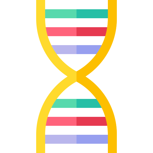 dna Basic Straight Flat icona