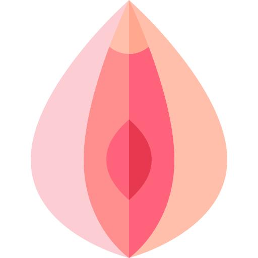 vagina Basic Straight Flat icona