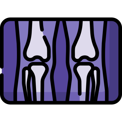 X ray Special Lineal color icon