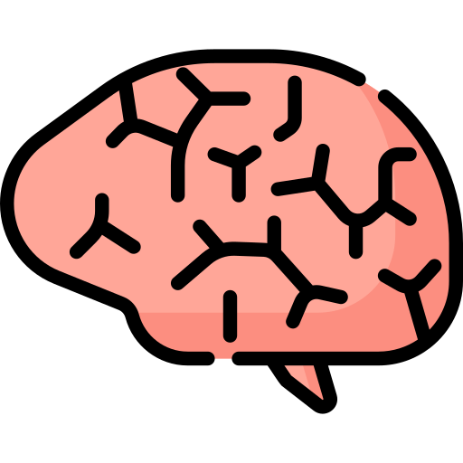 cervello umano Special Lineal color icona