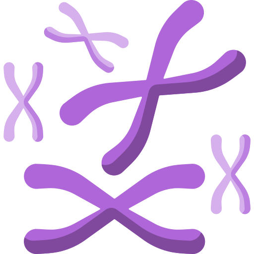 chromosom Special Flat ikona