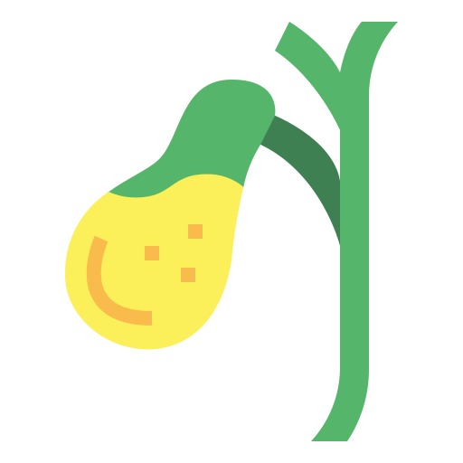 pęcherzyk żółciowy Smalllikeart Flat ikona
