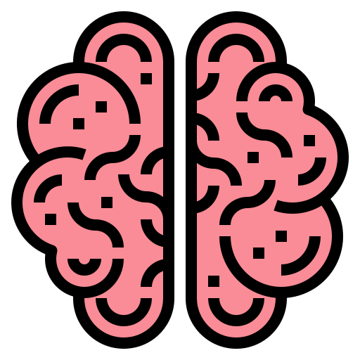 cerebro Smalllikeart Lineal Color icono