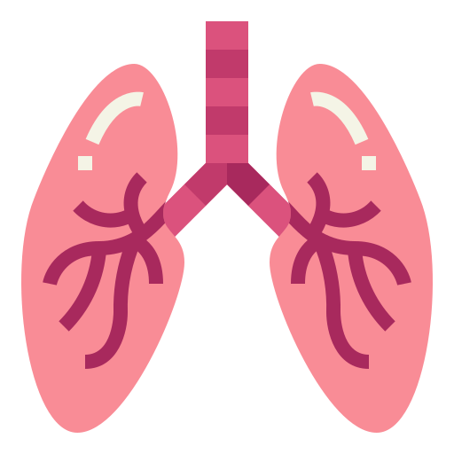 Lungs Smalllikeart Flat icon