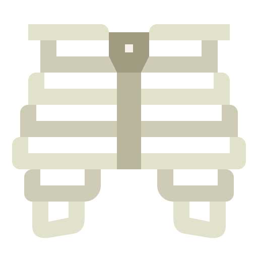 thorax Smalllikeart Flat Icône