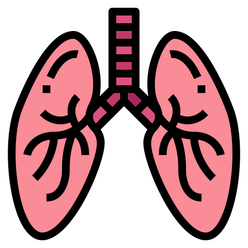 pulmões Smalllikeart Lineal Color Ícone