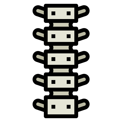 columna espinal Smalllikeart Lineal Color icono
