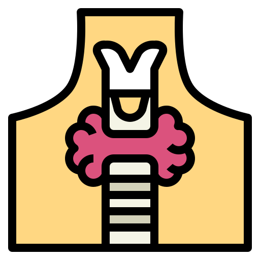 tiroides Smalllikeart Lineal Color icono