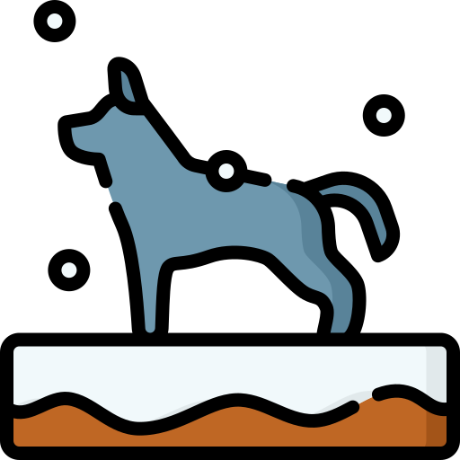 늑대 Special Lineal color icon
