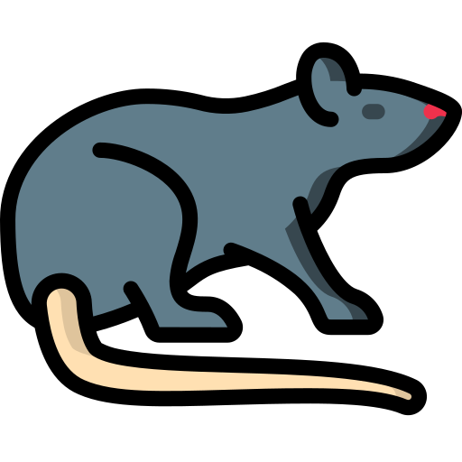 Rat Basic Miscellany Lineal Color icon