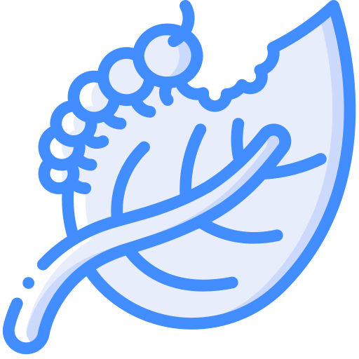 gąsienica Basic Miscellany Blue ikona