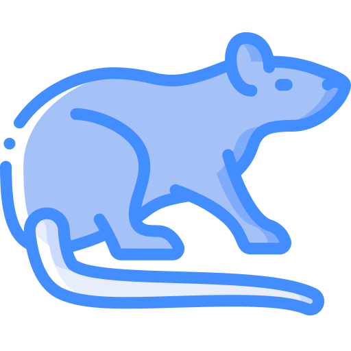 ratto Basic Miscellany Blue icona