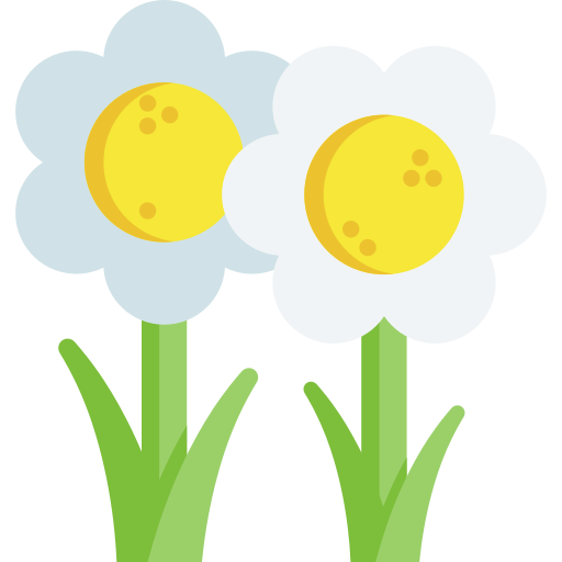 Flowers Special Flat icon