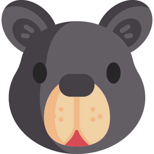orso Special Flat icona