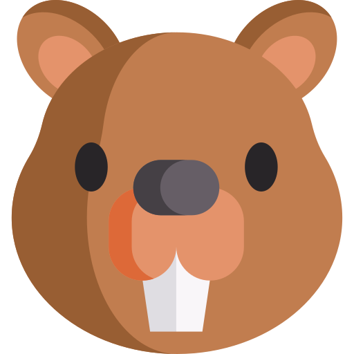 Beaver Special Flat icon