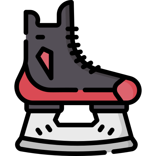 Skate Special Lineal color icon