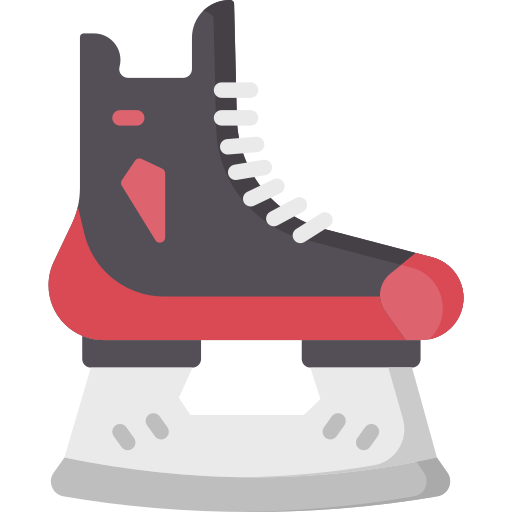 Skate Special Flat icon