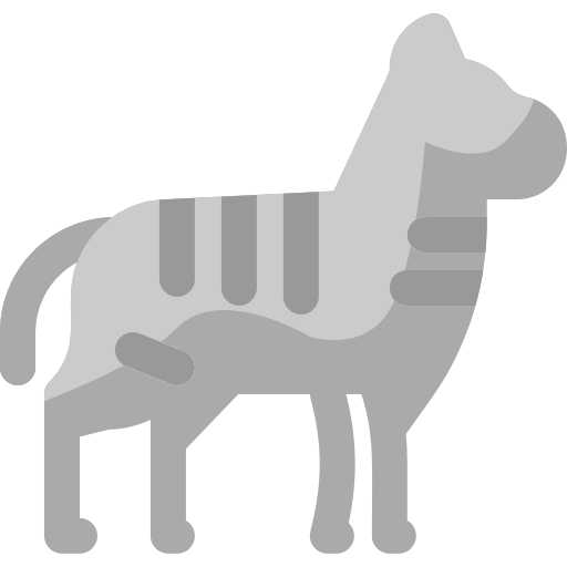 zebra Vitaliy Gorbachev Flat icoon