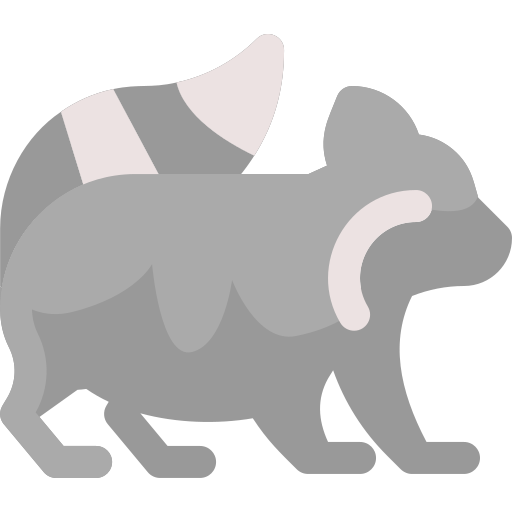 waschbär Vitaliy Gorbachev Flat icon