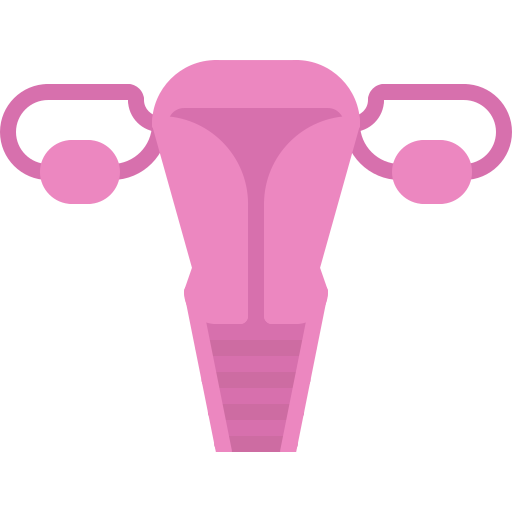 Uterus Coloring Flat icon