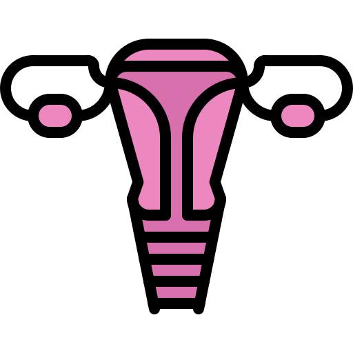 uterus Coloring Color icon