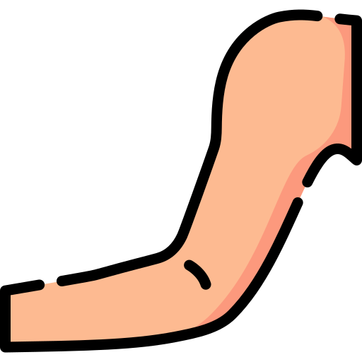 brazo Special Lineal color icono