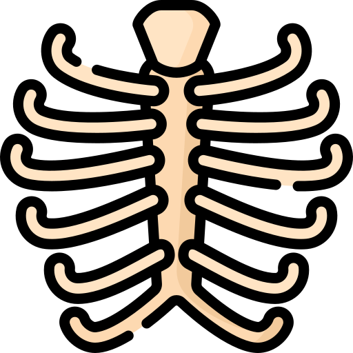 Rib cage Special Lineal color icon