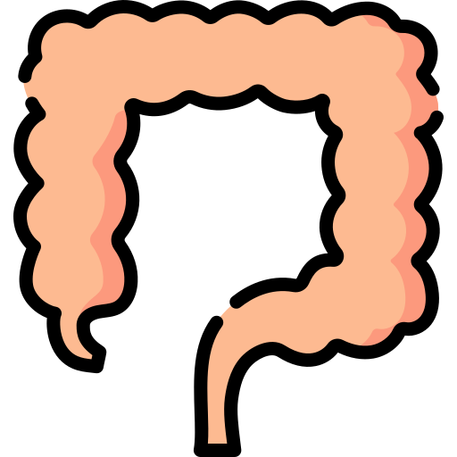 intestino Special Lineal color icono