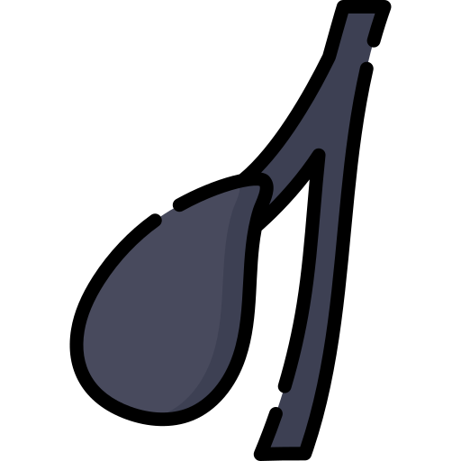 vesícula biliar Special Lineal color icono