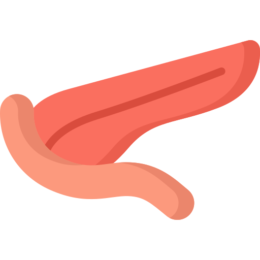 pankreas Special Flat icon