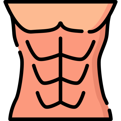 abdominales Special Lineal color icono