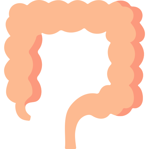 intestino Special Flat icona