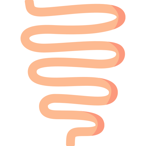 intestino Special Flat icono
