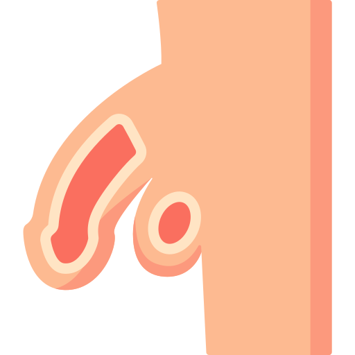 penis Special Flat ikona