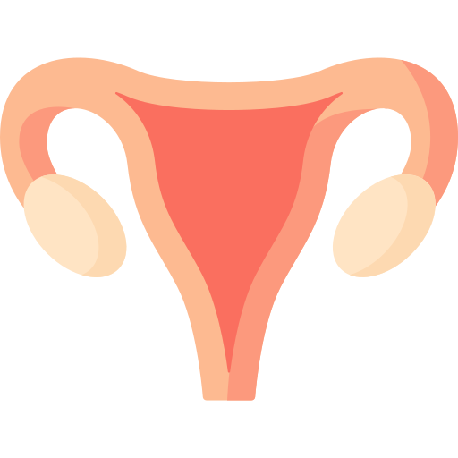 Uterus Special Flat icon